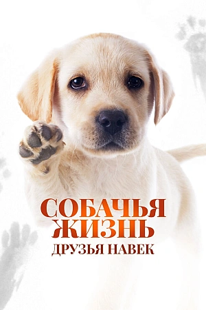 Постер к дораме Собачья жизнь: Друзья навек